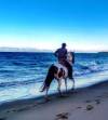 Horse riding on the beach